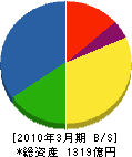 新日鉄ソリューションズ 貸借対照表 2010年3月期 新日鉄ソリューションズ 貸借対照表 2010年3月期