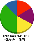 植忠 貸借対照表 2011年6月期 植忠 貸借対照表 2011年6月期