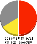 松田産業 損益計算書 2013年3月期 松田産業 損益計算書 2013年3月期