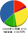 辰巳水道設備工業所 貸借対照表 2009年12月期 辰巳水道設備工業所 貸借対照表 2009年12月期