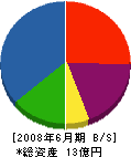 大島応用 貸借対照表 2008年6月期 大島応用 貸借対照表 2008年6月期