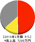 ワタナベ・テクニカル 損益計算書 2013年2月期 ワタナベ・テクニカル 損益計算書 2013年2月期