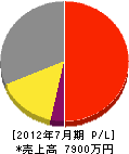 大垣塗装 損益計算書 2012年7月期 大垣塗装 損益計算書 2012年7月期