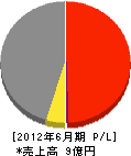 協和産業 損益計算書 2012年6月期 協和産業 損益計算書 2012年6月期