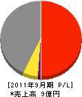 ティーエス・ハマモト 損益計算書 2011年9月期 ティーエス・ハマモト 損益計算書 2011年9月期