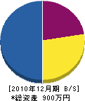 米田電気商会 貸借対照表 2010年12月期 米田電気商会 貸借対照表 2010年12月期