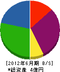 小嶋電工 貸借対照表 2012年6月期 小嶋電工 貸借対照表 2012年6月期