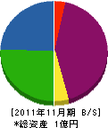 阪南メンテナンス 貸借対照表 2011年11月期 阪南メンテナンス 貸借対照表 2011年11月期