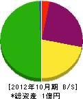 地域環境開発(同) 貸借対照表 2012年10月期 地域環境開発(同) 貸借対照表 2012年10月期