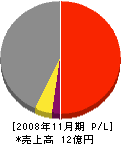 ビケンテック 損益計算書 2008年11月期 ビケンテック 損益計算書 2008年11月期