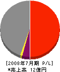 ビッグマン 損益計算書 2008年7月期 ビッグマン 損益計算書 2008年7月期