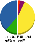 大師組 貸借対照表 2012年6月期 大師組 貸借対照表 2012年6月期