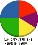 清水建設興業 貸借対照表 2012年6月期 清水建設興業 貸借対照表 2012年6月期