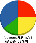 上田工業 貸借対照表 2009年5月期 上田工業 貸借対照表 2009年5月期