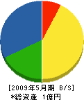 三和電機商会 貸借対照表 2009年5月期 三和電機商会 貸借対照表 2009年5月期