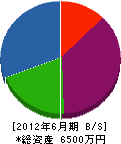 シンコーエレリプライ 貸借対照表 2012年6月期 シンコーエレリプライ 貸借対照表 2012年6月期