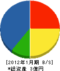 森山組 貸借対照表 2012年1月期 森山組 貸借対照表 2012年1月期