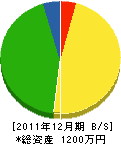知覧庭園 貸借対照表 2011年12月期 知覧庭園 貸借対照表 2011年12月期