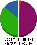 立花商会 貸借対照表 2009年12月期 立花商会 貸借対照表 2009年12月期