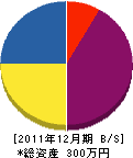 渡部造緑舎 貸借対照表 2011年12月期 渡部造緑舎 貸借対照表 2011年12月期