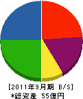 丸泰土木 貸借対照表 2011年9月期 丸泰土木 貸借対照表 2011年9月期
