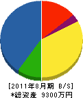 新東海設備 貸借対照表 2011年8月期 新東海設備 貸借対照表 2011年8月期