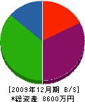 山崎工業 貸借対照表 2009年12月期 山崎工業 貸借対照表 2009年12月期