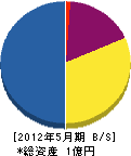 大昭和建設 貸借対照表 2012年5月期 大昭和建設 貸借対照表 2012年5月期