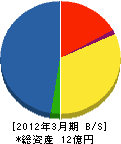 三建サービス工事 貸借対照表 2012年3月期 三建サービス工事 貸借対照表 2012年3月期