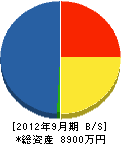 道栄建設 貸借対照表 2012年9月期 道栄建設 貸借対照表 2012年9月期