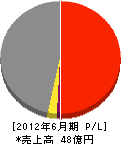 岩部建設 損益計算書 2012年6月期 岩部建設 損益計算書 2012年6月期