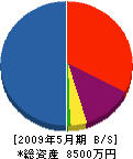 愛地エンジニアリング 貸借対照表 2009年5月期 愛地エンジニアリング 貸借対照表 2009年5月期