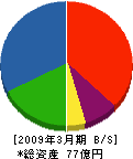 城口研究所 貸借対照表 2009年3月期 城口研究所 貸借対照表 2009年3月期