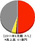 大坪電気 損益計算書 2011年6月期 大坪電気 損益計算書 2011年6月期