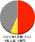 指月建設 損益計算書 2012年6月期 指月建設 損益計算書 2012年6月期