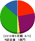大幸建設 貸借対照表 2010年8月期 大幸建設 貸借対照表 2010年8月期