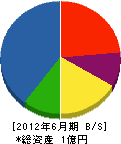 田川電工 貸借対照表 2012年6月期 田川電工 貸借対照表 2012年6月期