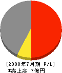 川島組 損益計算書 2008年7月期 川島組 損益計算書 2008年7月期