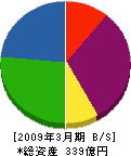 大栄環境 貸借対照表 2009年3月期 大栄環境 貸借対照表 2009年3月期