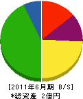 大谷建装 貸借対照表 2011年6月期 大谷建装 貸借対照表 2011年6月期