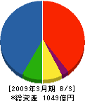 ピーエス三菱 貸借対照表 2009年3月期 ピーエス三菱 貸借対照表 2009年3月期