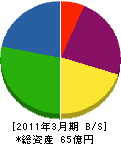 千代田スバック 貸借対照表 2011年3月期 千代田スバック 貸借対照表 2011年3月期