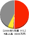 愛地エンジニアリング 損益計算書 2008年5月期 愛地エンジニアリング 損益計算書 2008年5月期