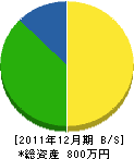 渡辺塗装店 貸借対照表 2011年12月期 渡辺塗装店 貸借対照表 2011年12月期