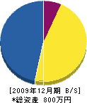 三共工務店 貸借対照表 2009年12月期 三共工務店 貸借対照表 2009年12月期