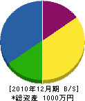 西口建設 貸借対照表 2010年12月期 西口建設 貸借対照表 2010年12月期