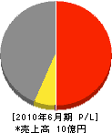 シンキ・コーポレーション 損益計算書 2010年6月期 シンキ・コーポレーション 損益計算書 2010年6月期