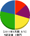 清水建設興業 貸借対照表 2011年6月期 清水建設興業 貸借対照表 2011年6月期
