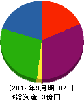 ニチカ 貸借対照表 2012年9月期 ニチカ 貸借対照表 2012年9月期