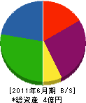 小嶋電工 貸借対照表 2011年6月期 小嶋電工 貸借対照表 2011年6月期